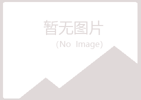 东山区蓝天能源有限公司